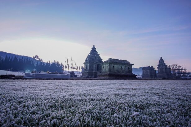 Ancient stone temple ruins in a frost-covered field at dawn, with distant trees and a pale purple sky.