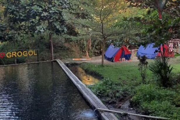 Campsite along a pond with colorful tents and trees; a wooden sign reads 'I ❤️ GROGOL' in the background.