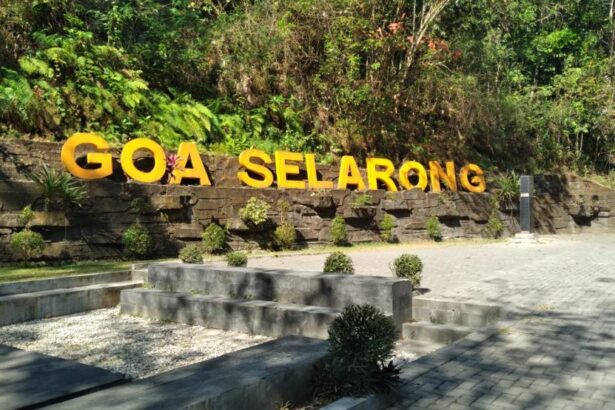 Outdoor sign reading 'GOA SELARONG' in large yellow letters on a stone retaining wall with greenery behind it.
