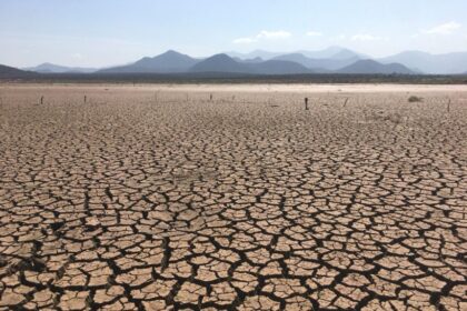 Dry, cracked earth of a parched lakebed with distant mountains on the horizon under a clear sky.