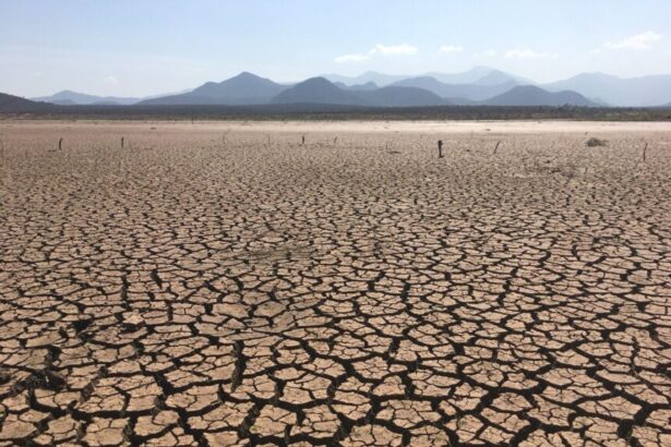 Dry, cracked earth of a parched lakebed with distant mountains on the horizon under a clear sky.