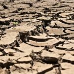 Close-up of dry cracked earth with jagged clay pieces and a tiny green sprout in the cracks.