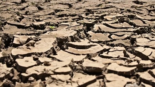 Close-up of dry cracked earth with jagged clay pieces and a tiny green sprout in the cracks.
