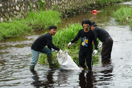 Group of volunteers wading in a river, collecting litter into a white bag by the grassy bank.