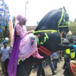 A person in pink and purple costume rides a black horse that rears up at a parade with onlookers nearby.