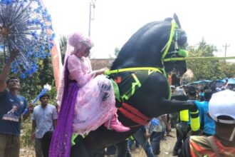 A person in pink and purple costume rides a black horse that rears up at a parade with onlookers nearby.