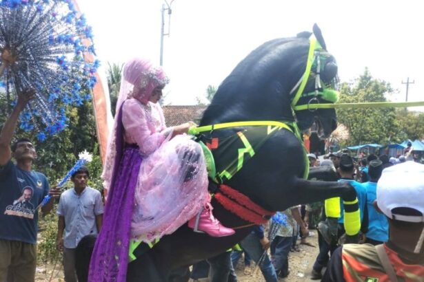 A person in pink and purple costume rides a black horse that rears up at a parade with onlookers nearby.