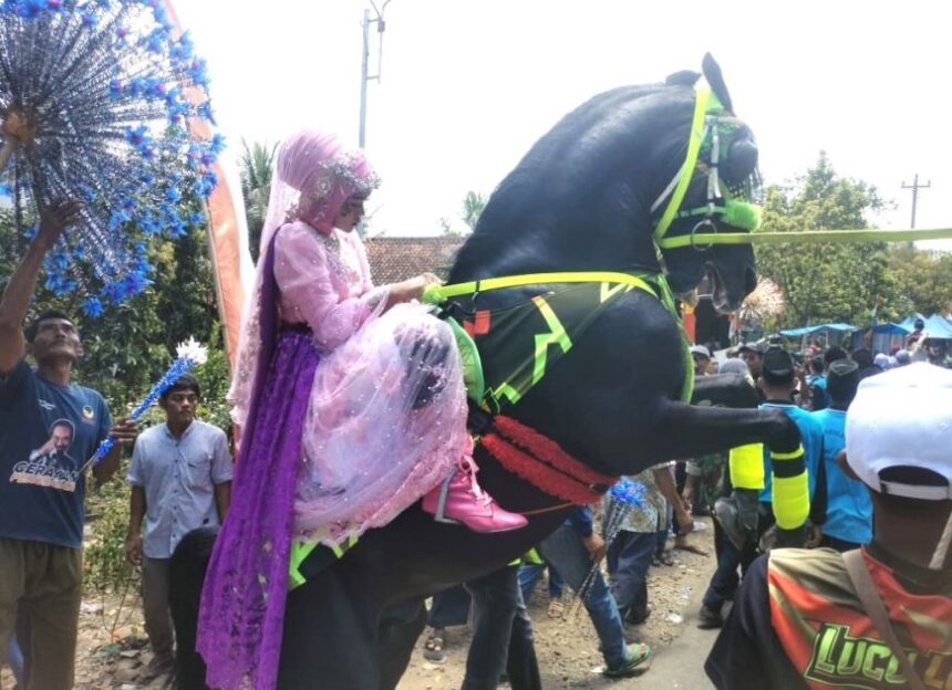 A person in pink and purple costume rides a black horse that rears up at a parade with onlookers nearby.