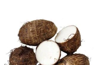 Five taro roots on a white background, one cut in half to reveal white starchy flesh in the center.