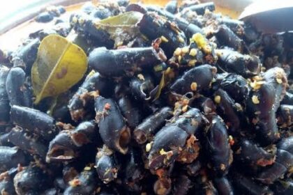 Dark squid ink pasta with garlic bits and herbs served on an orange plate, a dish with a glossy sauce and bay leaf in the mix.