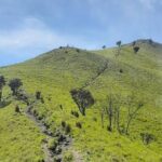 Sunlit green hillside with a narrow rocky trail winding up the ridge under a blue sky.