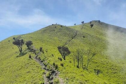 Sunlit green hillside with a narrow rocky trail winding up the ridge under a blue sky.