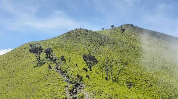 Sunlit green hillside with a narrow rocky trail winding up the ridge under a blue sky.