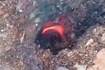 Red-hot ember glowing in a dirt hole, surrounded by small rocks and dry leaves.
