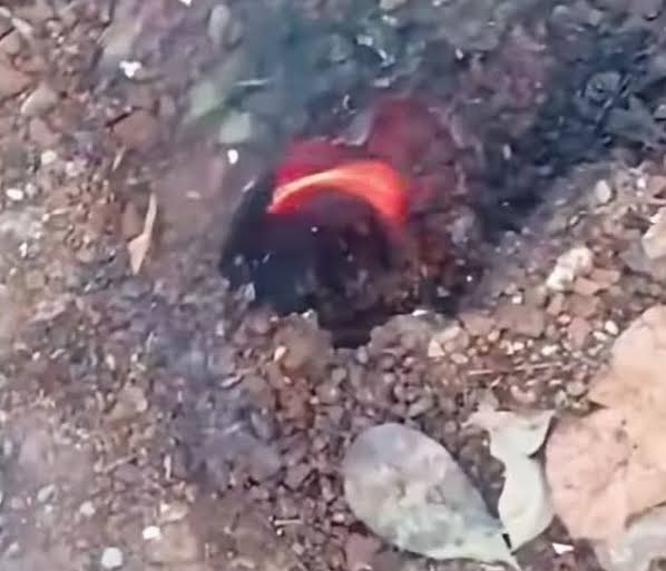 Red-hot ember glowing in a dirt hole, surrounded by small rocks and dry leaves.