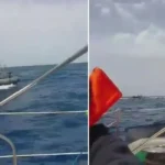 Two-panel sea scene: left shows a crowded motorboat with a red arrow pointing at it; right shows the same area from the deck with red flags in the foreground.