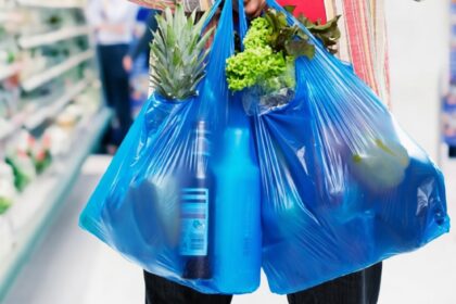 Person carrying two blue grocery bags filled with fresh produce and a bottle, in a supermarket aisle
