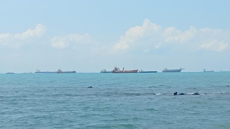 Calm sea with several ships anchored on the horizon beneath a blue sky and scattered clouds.