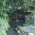 People soaking in a shallow stone pool surrounded by mossy walls and dense bamboo foliage.