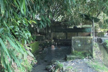 People soaking in a shallow stone pool surrounded by mossy walls and dense bamboo foliage.