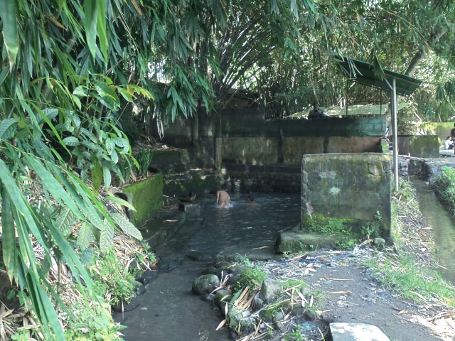 People soaking in a shallow stone pool surrounded by mossy walls and dense bamboo foliage.