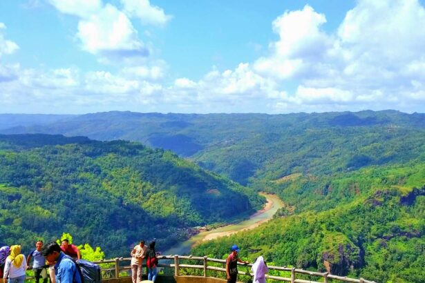 People stand at a wooden railing overlooking a lush valley with a winding river and forested hills under a bright blue sky.