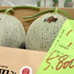 Two muskmelons with netted rind in a wooden crate, a green price tag attached nearby.