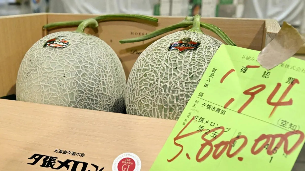 Two muskmelons with netted rind in a wooden crate, a green price tag attached nearby.