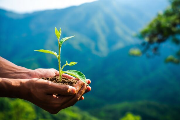 Hands cupping a young green seedling planted in soil, with a blue mountain landscape in the background.