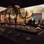 Museum exhibit displaying a full mammoth skeleton with long curved tusks; visitors observe in the background.