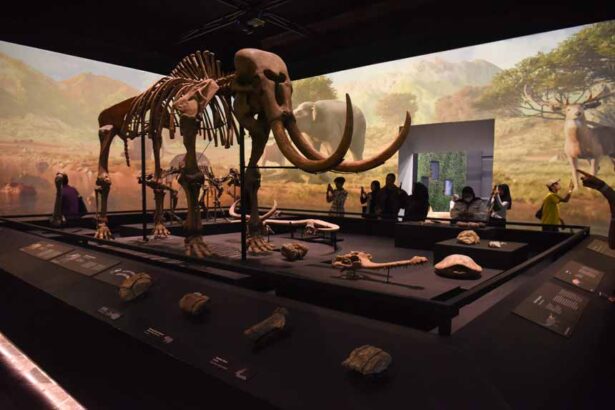 Museum exhibit displaying a full mammoth skeleton with long curved tusks; visitors observe in the background.
