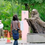 Outdoor plaza with a large bear statue on a concrete pedestal and water flowing from its paws, set among lush tropical plants; several people wearing masks stand nearby.