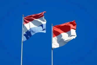 Two Dutch flags fluttering on flagpoles against a clear blue sky.