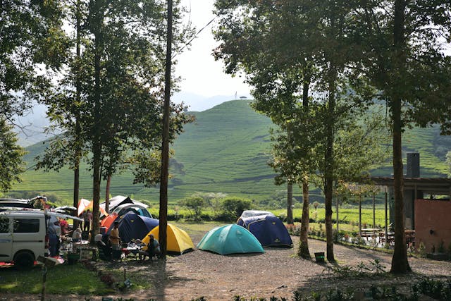 Campsite under tall trees with colorful tents and parked camper, grassy hills in the distance with a wind turbine on the hilltop at sunset.