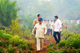 Group of officials walking along a muddy path through lush tropical plants, led by a man in a beige uniform and blue cap.