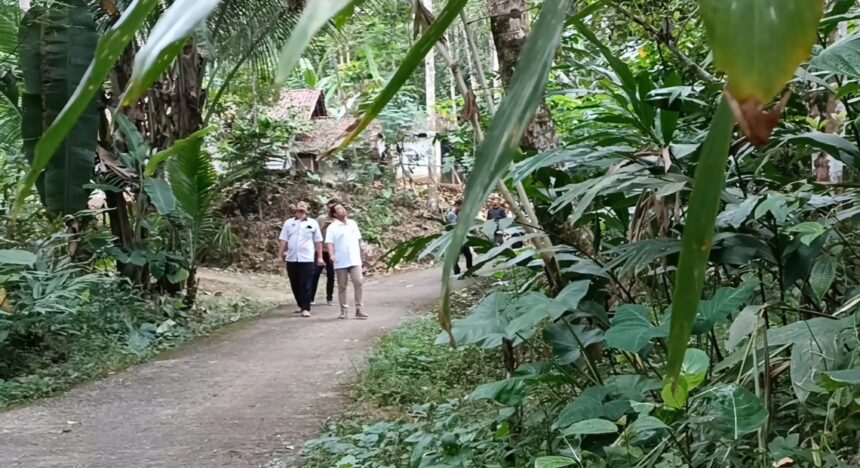 sese2s - Mabur.co Two men in white shirts walk along a dirt path through dense tropical jungle with large green leaves surrounding them.