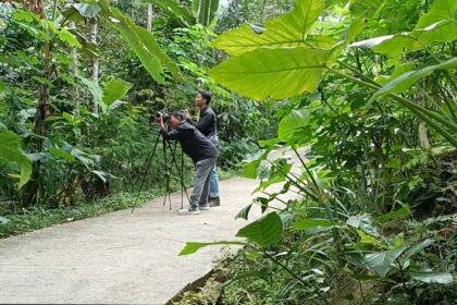 Two photographers with cameras on tripods crouch on a jungle path among dense green foliage.