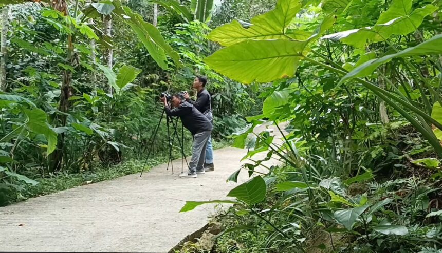Two photographers with cameras on tripods crouch on a jungle path among dense green foliage.