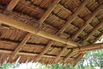 Under a thatched roof with thick wooden beams, showing the rustic shelter's underside.