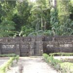 Stone step stairway flanked by low walls in a tropical garden or ruin setting, with dense jungle behind.