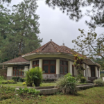 A single-story bungalow with a curved bay window and red-tiled roof, set in a lush garden with trees and shrubs.