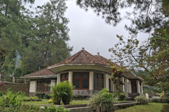 A single-story bungalow with a curved bay window and red-tiled roof, set in a lush garden with trees and shrubs.