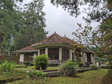 A single-story bungalow with a curved bay window and red-tiled roof, set in a lush garden with trees and shrubs.