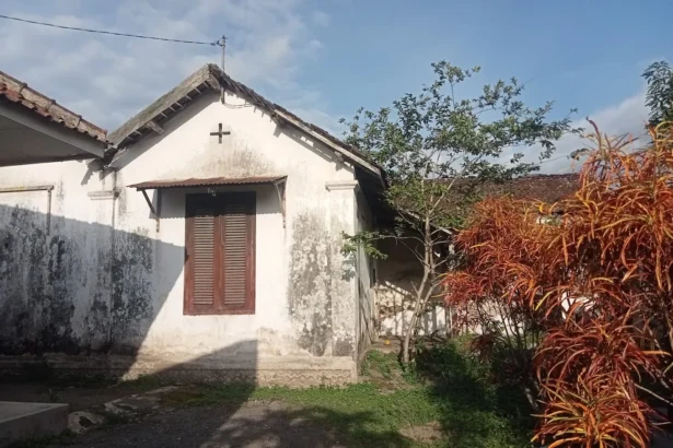 Small white cottage with a cross on the gable, brown wooden shutters, and weathered walls, set in a garden with a red-orange shrub and a tree against a blue sky.