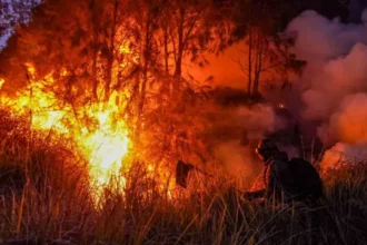 Firefighter in protective gear battles a forest wildfire with tall flames and thick smoke.