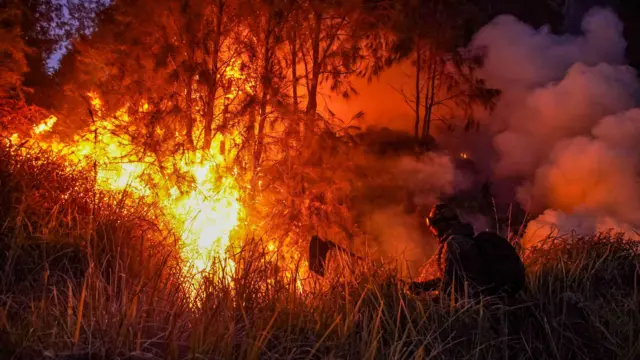 Firefighter in protective gear battles a forest wildfire with tall flames and thick smoke.