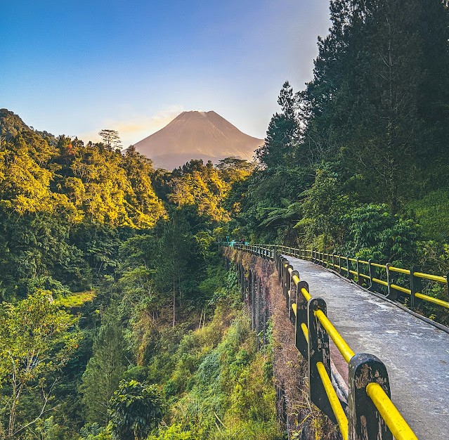 Pathway with yellow-and-black railing winds along a lush forested canyon, a volcano rises in the distance under a blue sky.