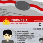 Indonesian driving license card with red header and emblem, text 'INDONESIA DRIVING LICENSE' and a portrait on gray background.