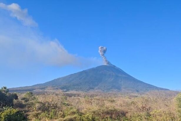Active volcano spews a small ash plume from its crater under a clear blue sky, with dry scrubland in the foreground.