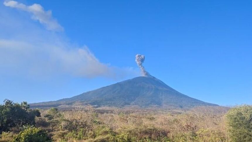 Active volcano spews a small ash plume from its crater under a clear blue sky, with dry scrubland in the foreground.